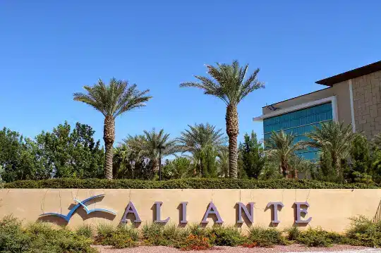 Aliante , Cleaning Services
